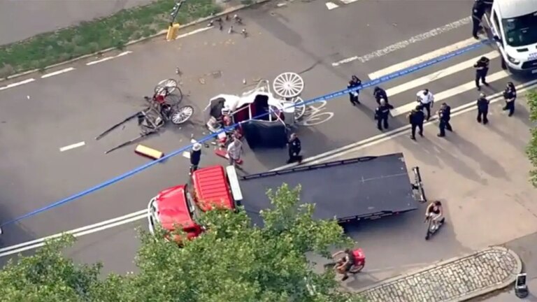 Tragic Accident: Horse-Drawn Carriage Overturns, Claims Life Near Iconic NYC Landmark