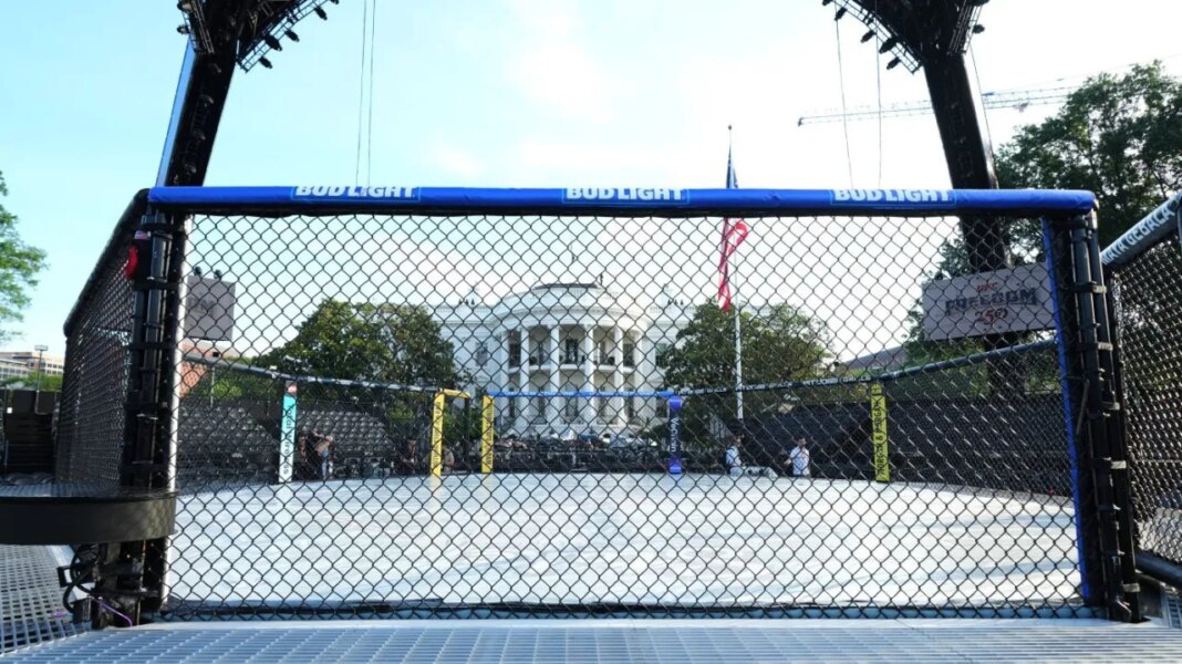Marjorie Taylor Greene: UFC fights don’t belong on White House lawn
