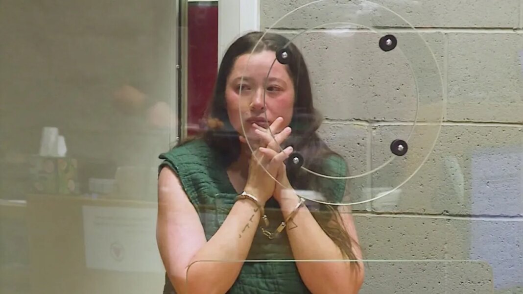 Mom allegedly told kids they were having sleepover before trying to kill them