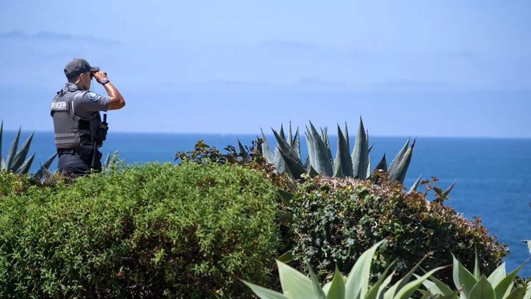 Police in California spot body of 5-year-old swept out to sea