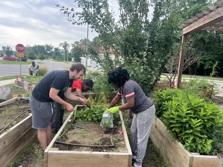 Danville Students Harvest Success: Local School Project Delivers Fresh Vegetables to Community