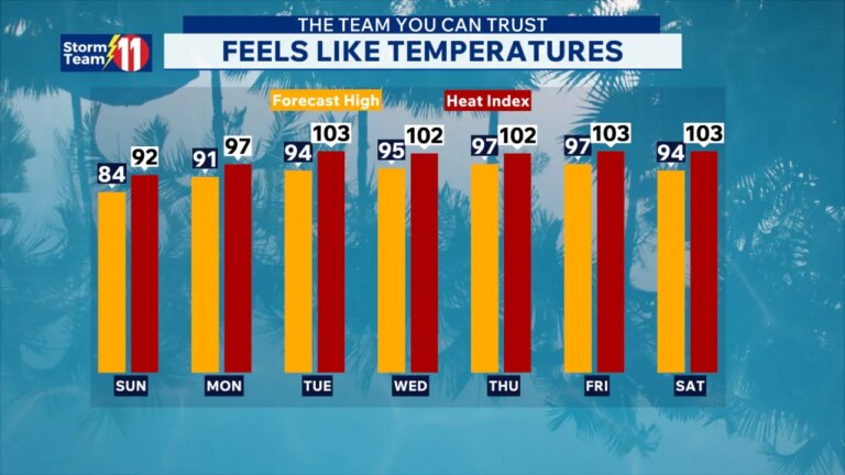 Weekend Weather Alert: Overnight Rainfall Persists into Sunday Storms