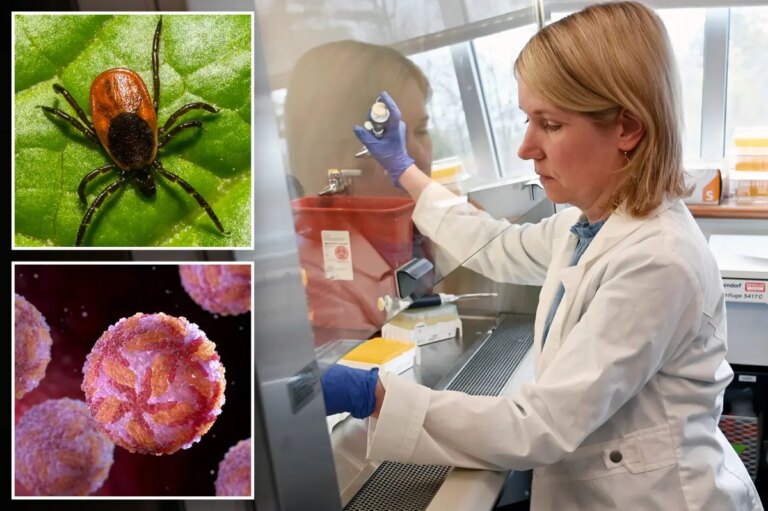 Record Surge in Rare Tick-Borne Virus Poses Lethal Threat Across U.S., Experts Alert