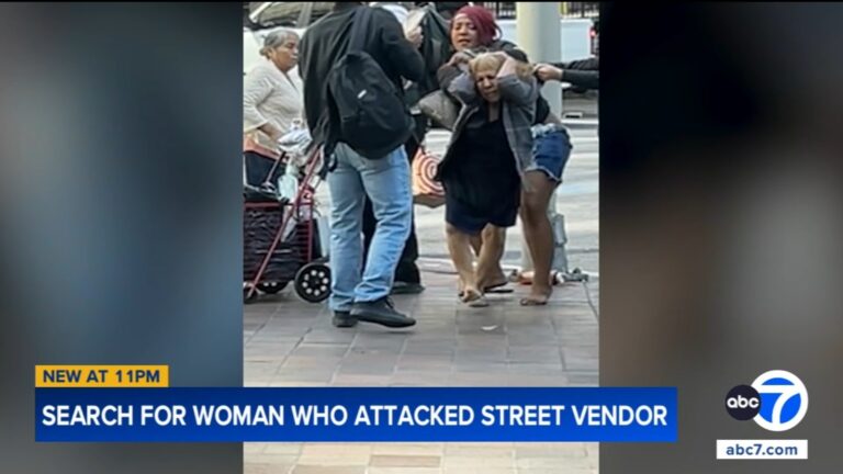 Shocking Video Captures Violent Assault on Street Vendor in Downtown Los Angeles