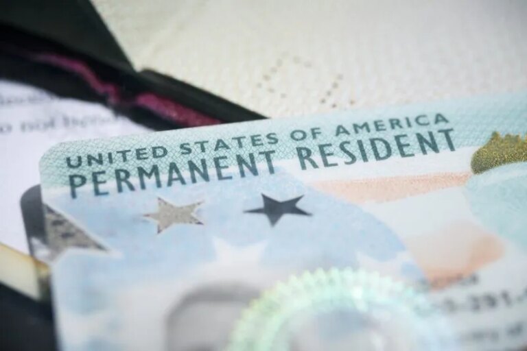 Research Identifies Tampa as Eighth in Nation for Pending Family-Based Green Card Applications