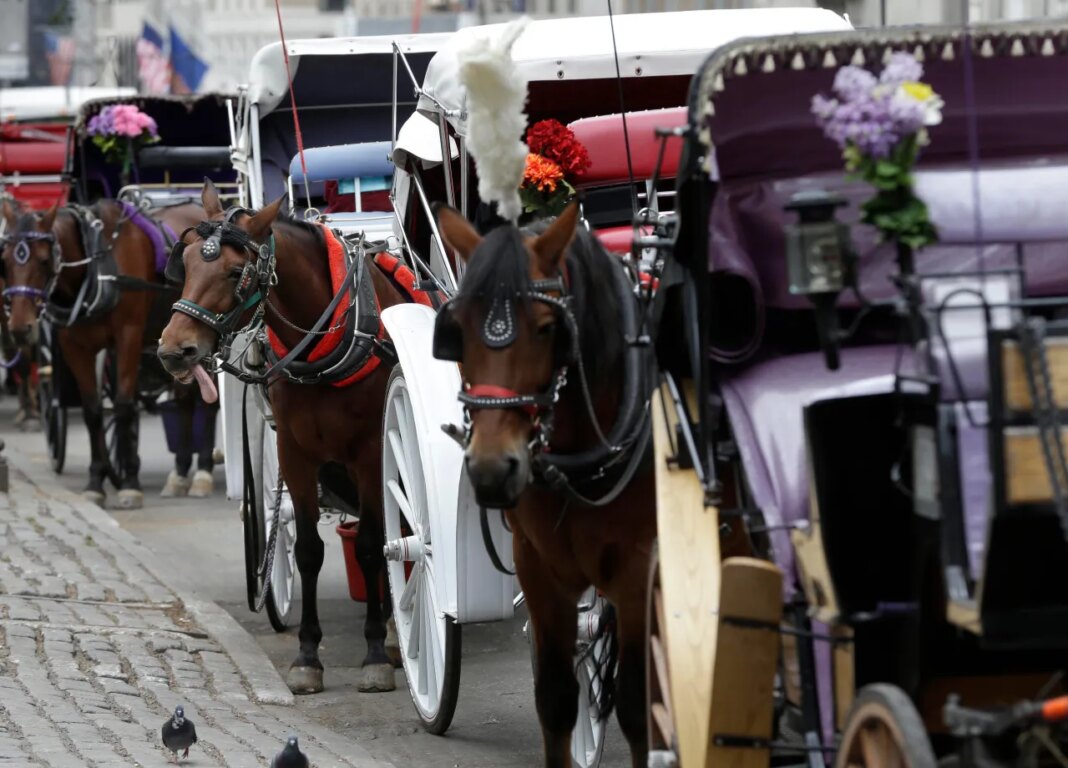 FILE - Horses and carriages wait for customers on Oct. 23, 2013, near Central Park in New York. (AP Photo/Seth Wenig, File)