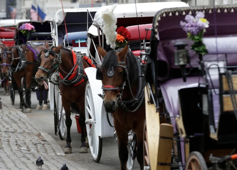 Tragic Accident in Central Park: Teenager Fatally Injured in Horse Carriage Fall