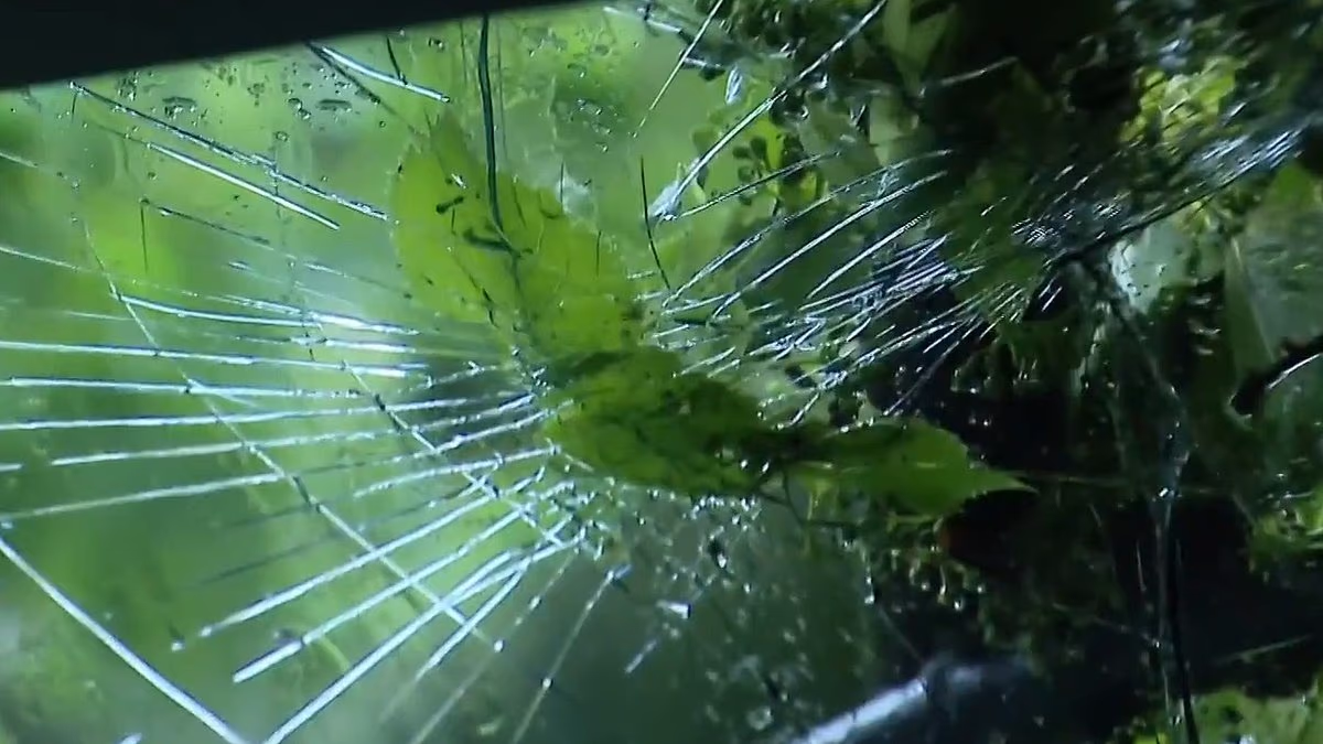 Van filled with children driving from Chicago hospital crushed by tree