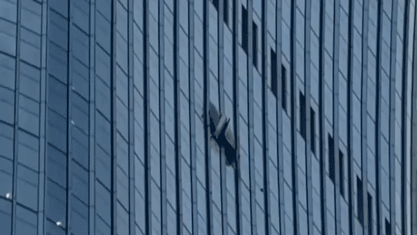 Video shows gaping hole after small plane crashes into towering skyscraper