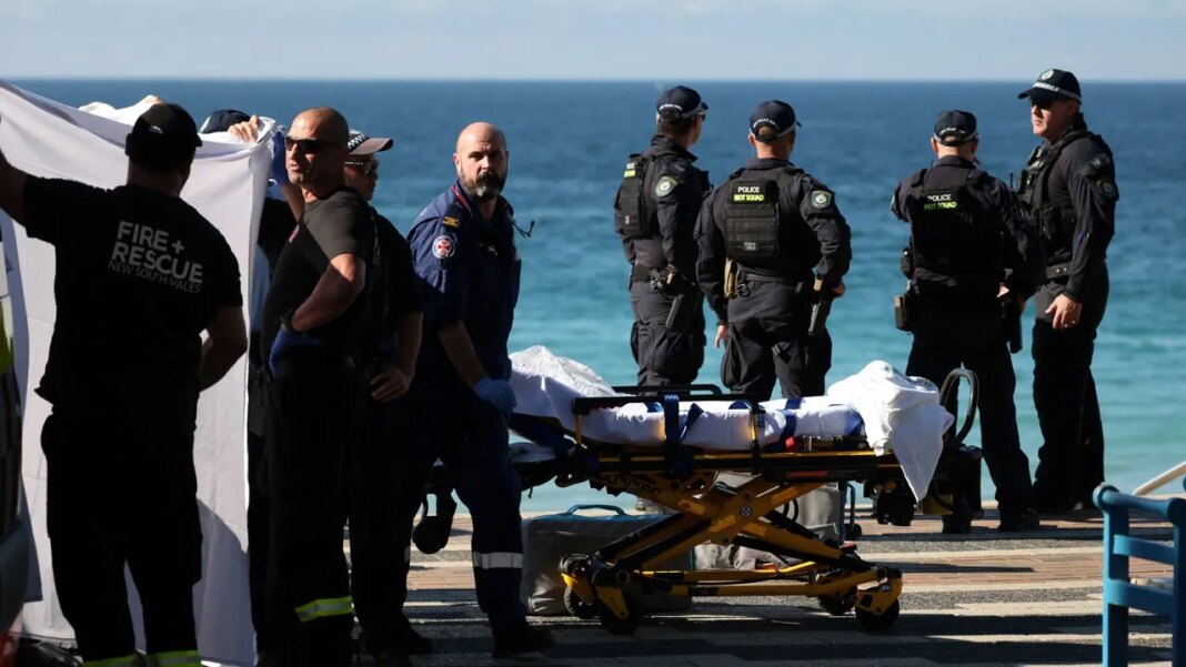 Woman airlifted to hospital with serious injuries after shark attack at popular Sydney beach