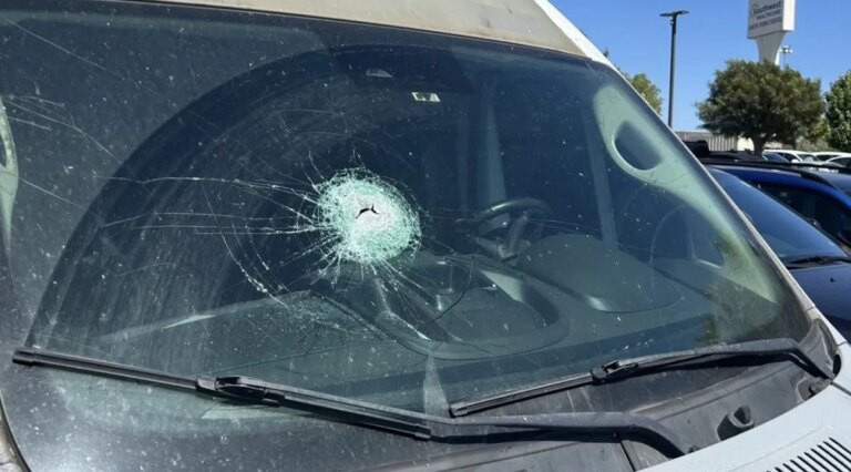 Pregnant Driver Miraculously Survives Windshield Pole Crash Impact