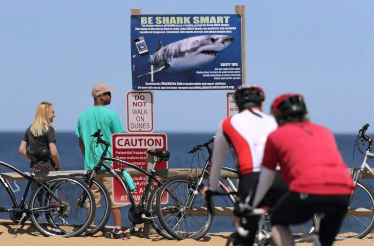 Alabama Teen’s Shark Attack Sparks Creation of Nationwide Alert System