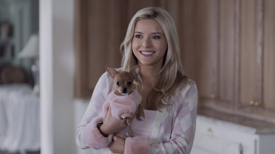 5 TV Shows To Watch If You Like Elle