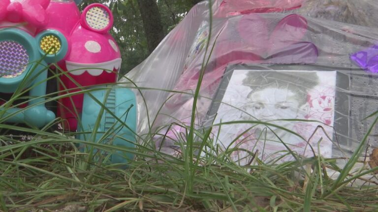 South Carolina Child Safety: Urgent Questions After Tragedy