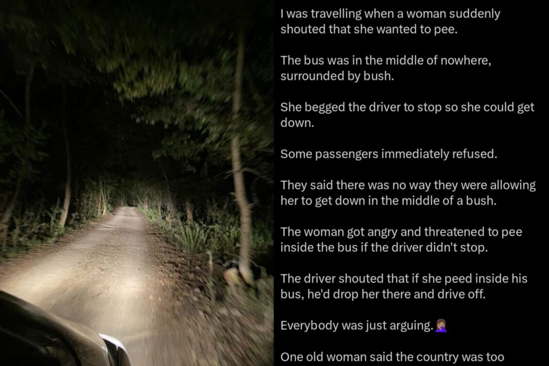 “Almost everybody got down to pee too” — Lady narrates how bus passengers reacted to woman