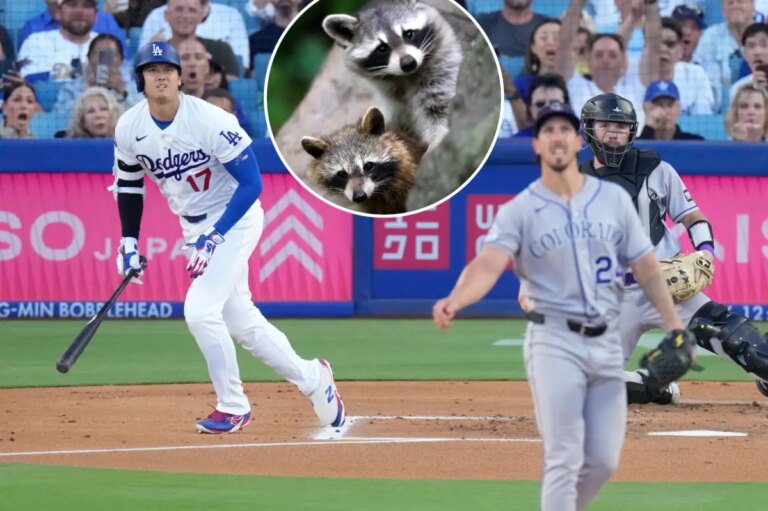 Juvenile Raccoons Captivate Fans Amid Dodgers’ Defeat to Rockies