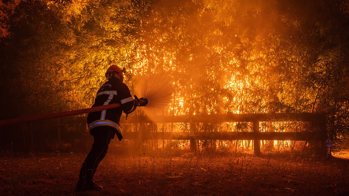 Bordeaux faces evacuation of more than 270,000 over wildfires