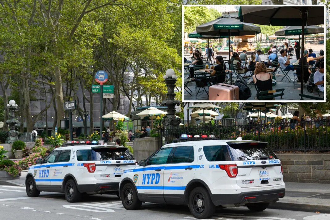 Bryant Park man accused of hurling cell phone at mother, baby