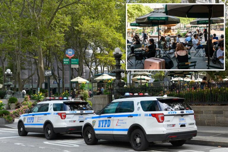Bryant Park Incident: Man Throws Cell Phone at Mother and Baby