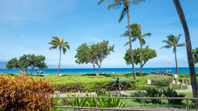 California Family Traumatized by Chaotic Attack at Luxury Maui Resort