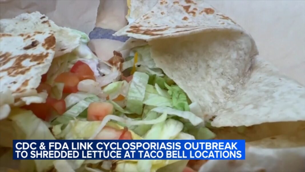 Chicago consumers react to potential cyclosporiasis outbreak source identified by FDA as Taylor Farms, linked to Taco Bell lettuce