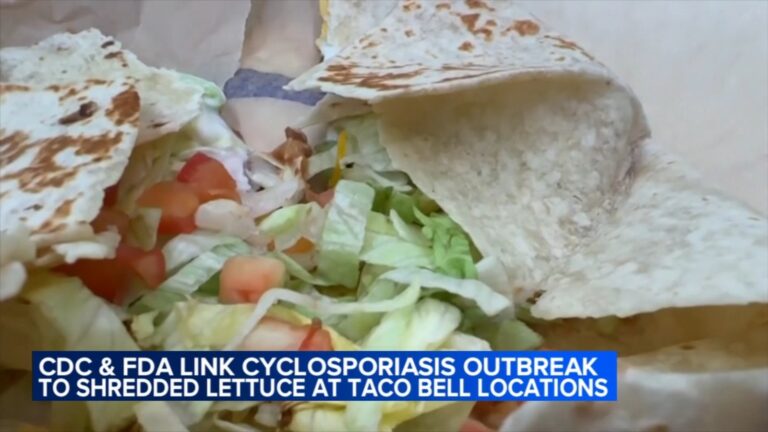 Chicago Outrage: FDA Unveils Taylor Farms as Source of Taco Bell Lettuce Cyclosporiasis Outbreak