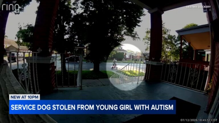 Stolen Service Dog: Chicago Family’s Plea for Safe Return