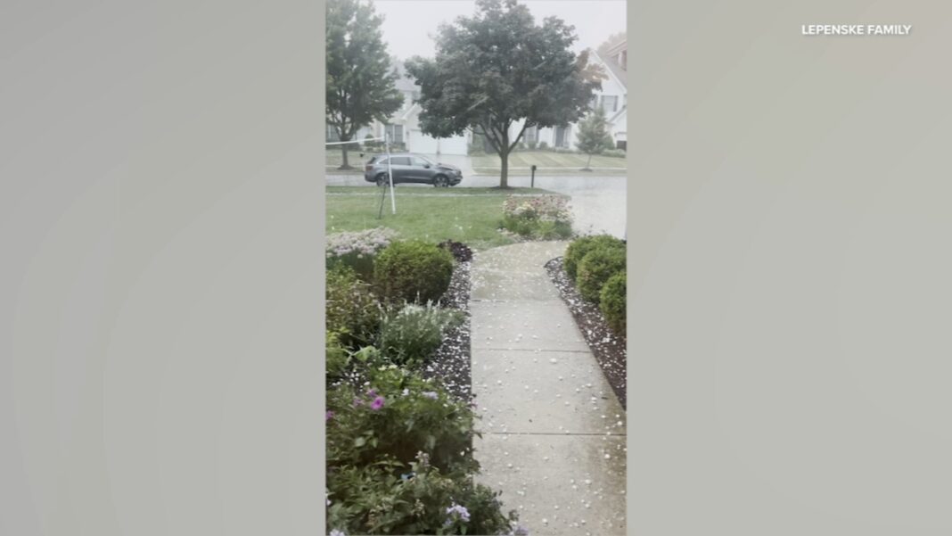 Chicago weather forecast: Strong storms move through area, downing trees, knocking out power for thousands | Radar
