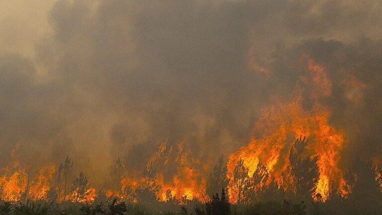 French Wildfires Imperil Missile Facilities and Nuclear Sites Amid Fourth Looming Heatwave