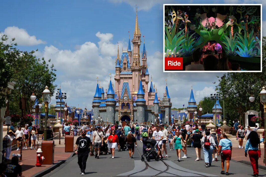 Disney World guest, 54, died on iconic ride after suffering heart emergency, new report reveals
