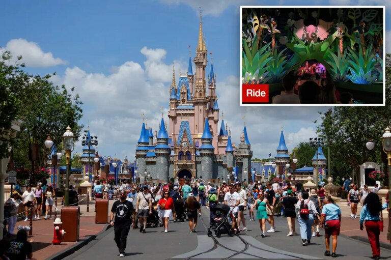 Tragic Heart Emergency on Disney World’s Iconic Ride: Report