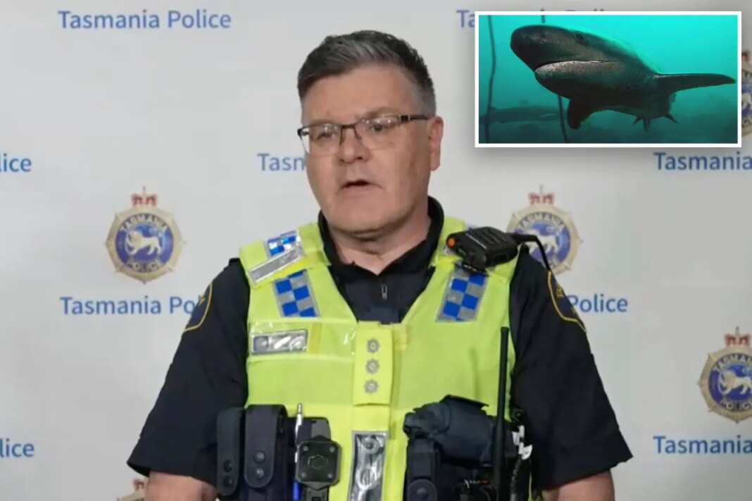 Diver survives after being bitten by nearly 7-foot shark in Australia: ‘Pretty good bite’