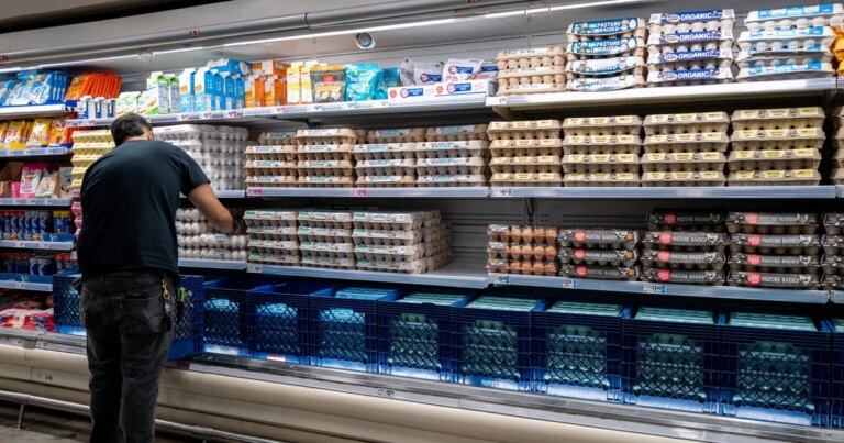 Egg Producers Finalize Settlement with Federal and State Authorities Following Price-Fixing Investigation
