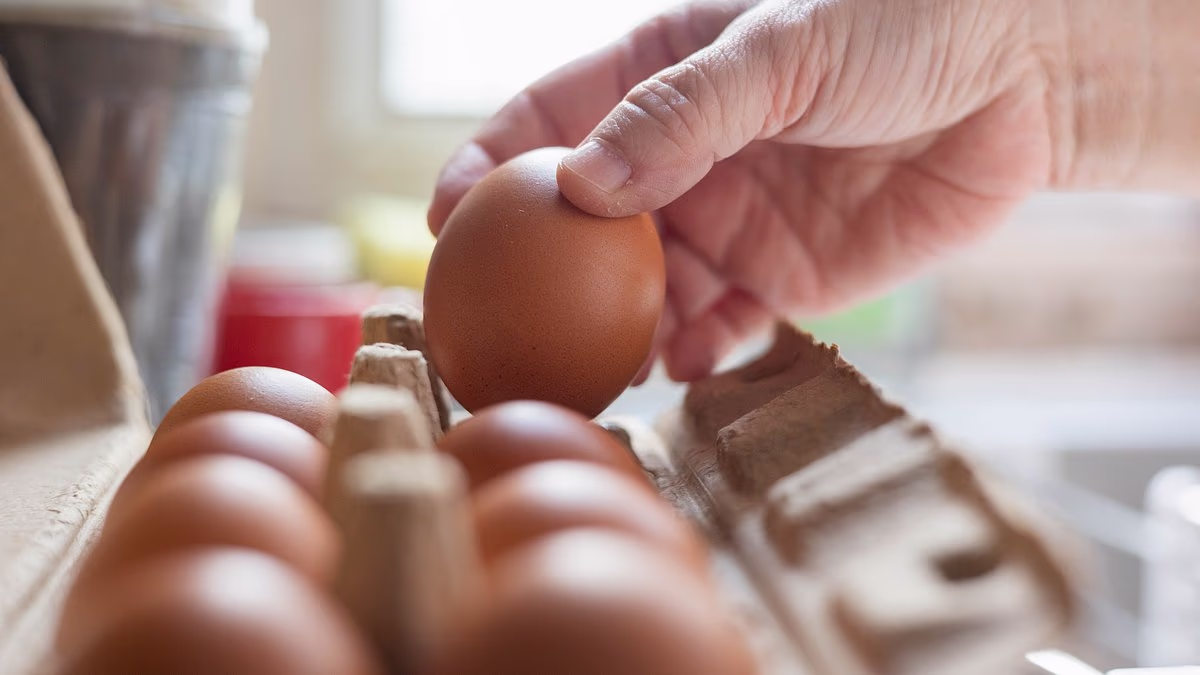 Eggs recalled over fears of contamination with deadly bacteria