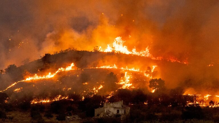 Europe’s Fires Expose Dangerous Combination of Extreme Heat, Human Error, and Land Mismanagement