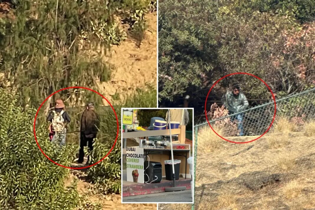 Exclusive | Lake Hollywood Park rocked by wave of truly disgusting acts -