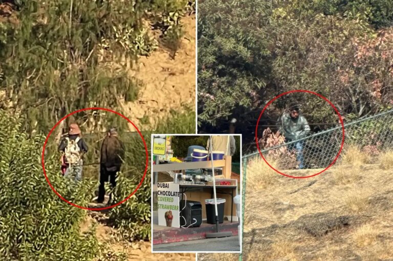 Lake Hollywood Park Faces Unprecedented Vandalism Crisis: Community Calls for Action