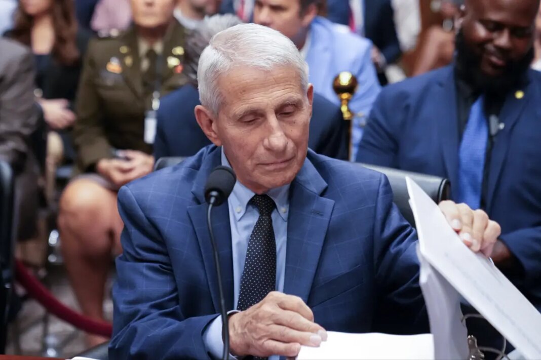 Fauci's Biden autopen pardon won't spare him from prosecution for 5th Amendment spectacle: GOP senators