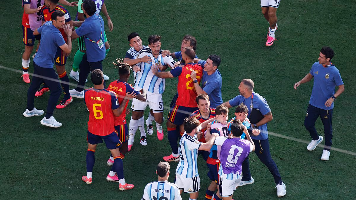 Fight breaks out at full-time of World Cup final as punches thrown