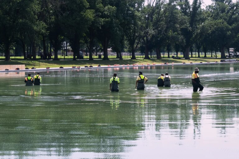 Ex-Olympian Faces Felony Charges for Alleged Reflecting Pool Vandalism