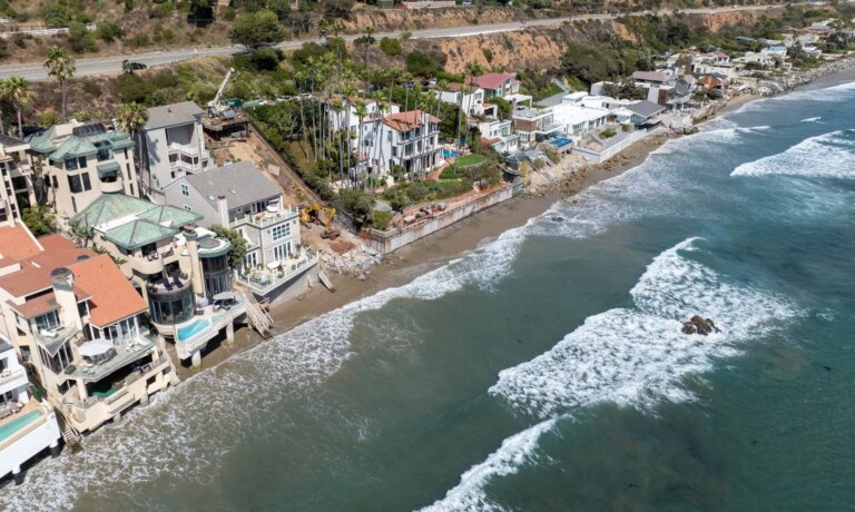 Pro Squatters Plague Palm Paradise: How Homeowners’ Dreams Became Nightmares