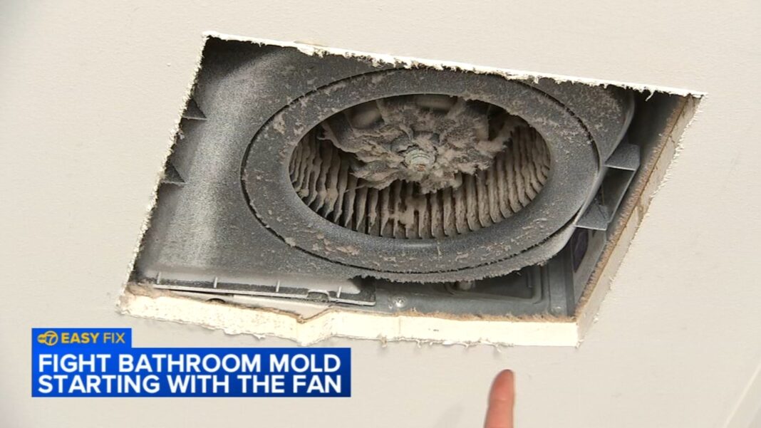 How to clean your bathroom exhaust fan and help prevent mold