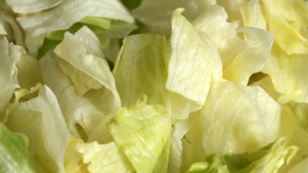 Iceberg lettuce recalled in 27 states due to potential cyclospora contamination