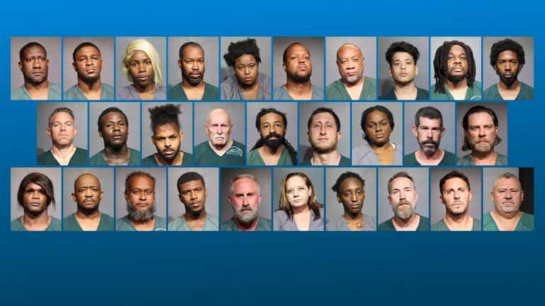 Jacksonville Sting: Police Undercover Operation Leads to 29 Prostitution Arrests