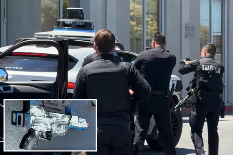 Teen Rampage with BB Guns in California Ends in Dramatic High-Tech Arrest