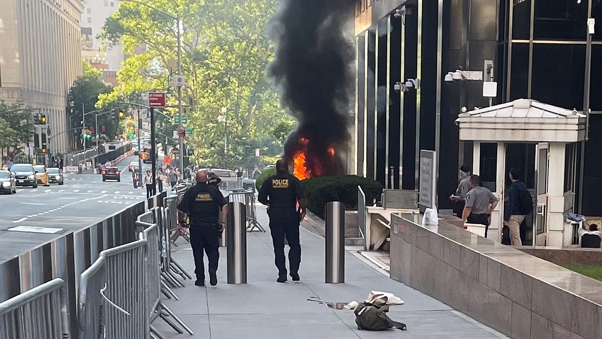 Lunatic arrested after setting Manhattan ICE building on fire