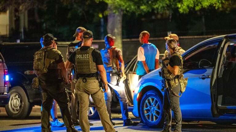 Tragic Collision Claims Life of Man Fleeing ICE Officers in Florida