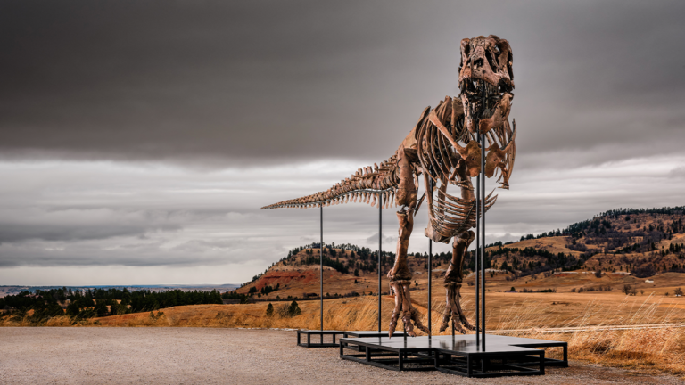 Record-Shattering $50 Million T. Rex Fossil Sale Makes History at Auction