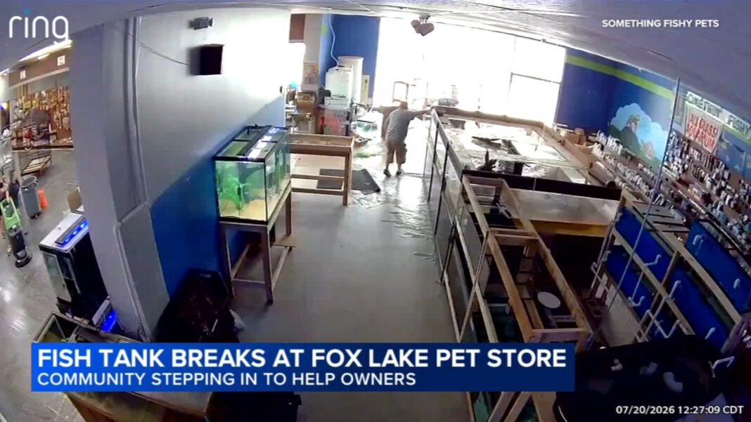 Massive tank at Somethin' Fishy Pets in Fox Lake shatters, flooding store and killing hundreds of fish | Video