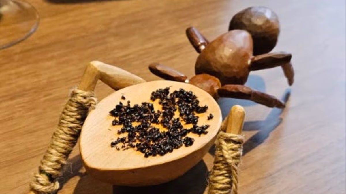 Michelin-starred chef faces jail for sprinkling dessert with ANTS